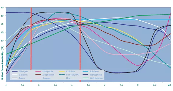 Everything about EC, pH and ppm using AQUA