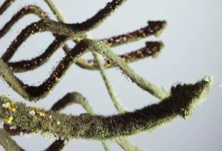 Slik bruker du alle verktøyene i verktøykassen din med plantestyring